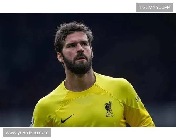 阿利松领导力评价